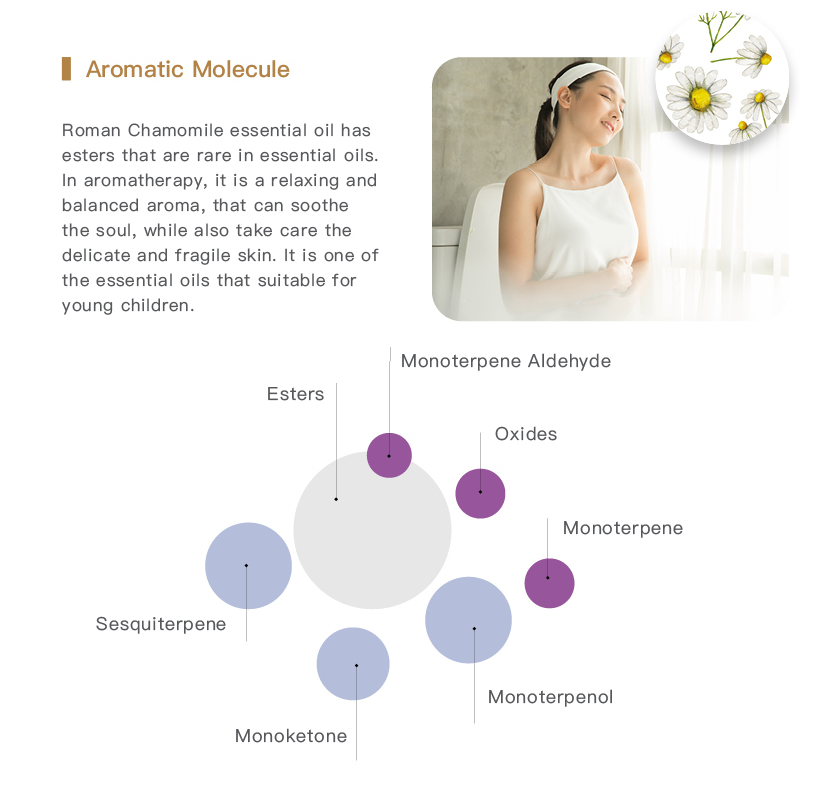 Easearoma Chamomile Roman Pure Essential Oil 5ml German Aromatherapy