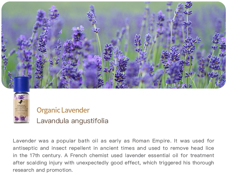 Easearoma Organic Lavender Pure Essential Oil 10ml German Aromatherapy