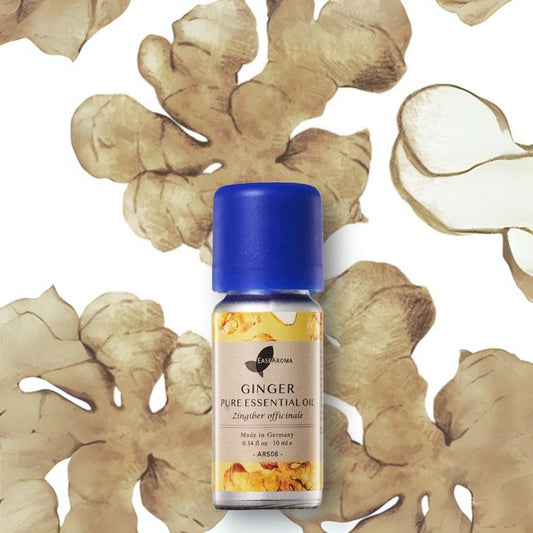 Easearoma Ginger Pure Essential Oil 10ml German Aromatherapy