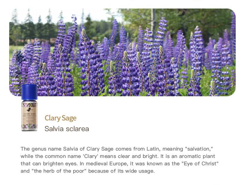 Easearoma Clary Sage Pure Essential Oil 10ml German Aromatherapy