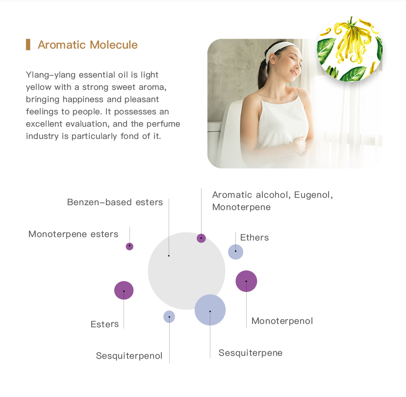 Easearoma Organic Ylang Ylang Pure Essential Oil 10ml German Aromatherapy