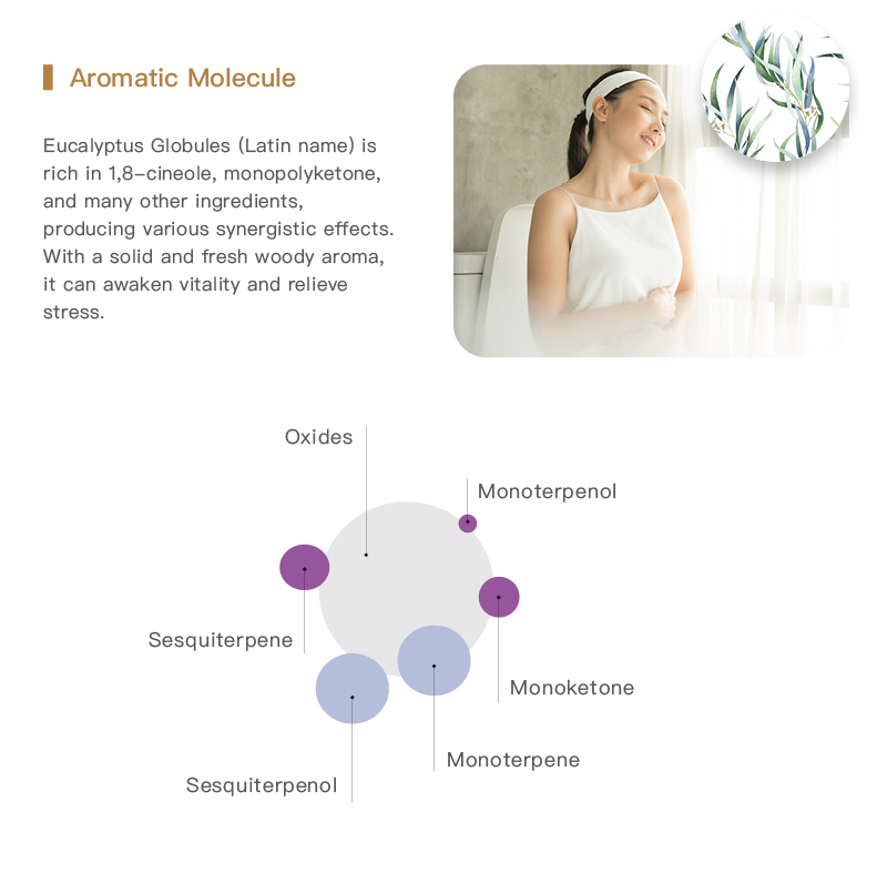 Easearoma Eucalyptus Pure Essential Oil German Aromatherapy