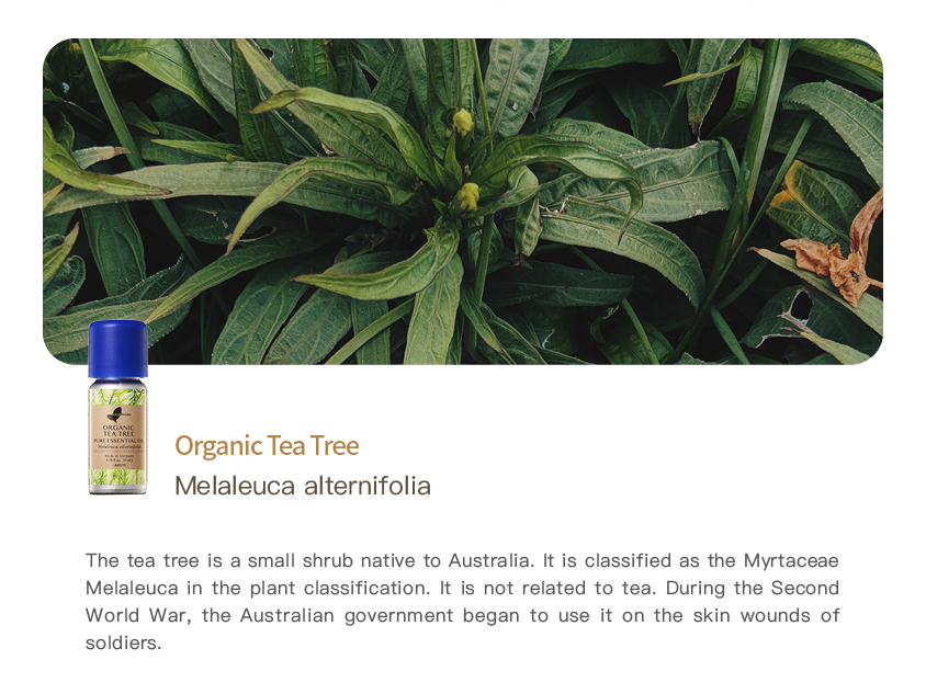 Easearoma Organic Tea Tree Pure Essential Oil 10ml German Aromatherapy
