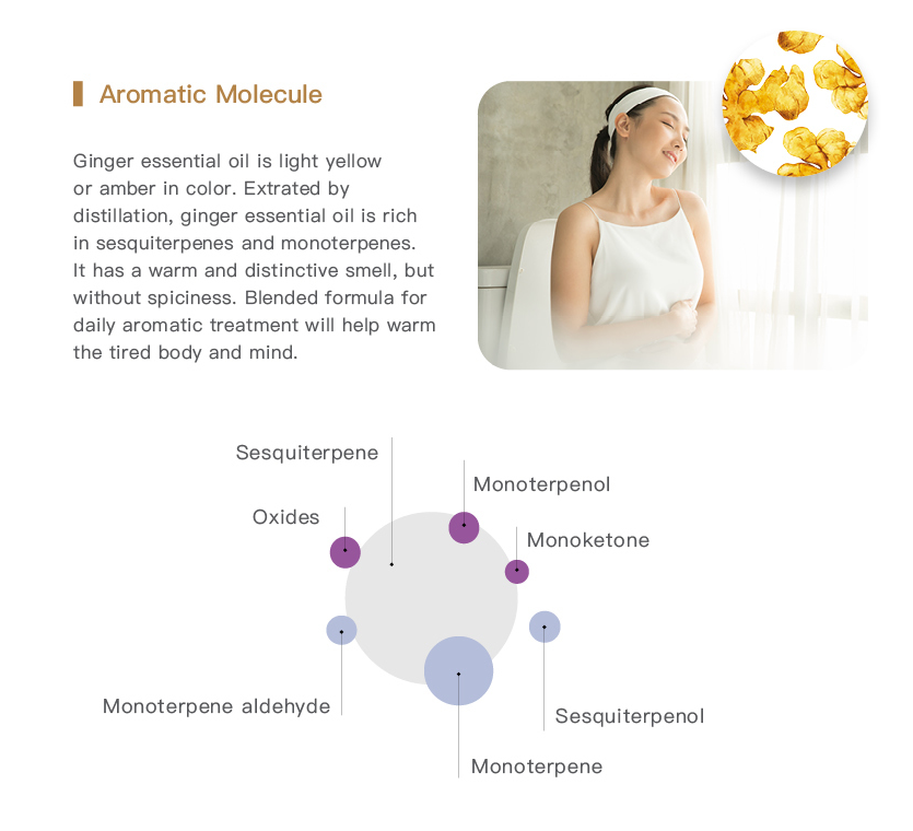 Easearoma Ginger Pure Essential Oil 10ml German Aromatherapy