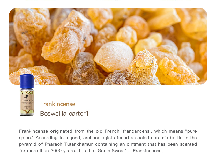Easearoma Frankincense Pure Essential Oil 10ml German Aromatherapy