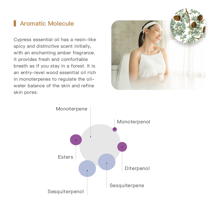 Easearoma Cypress Pure Essential Oil 10ml German Aromatherapy