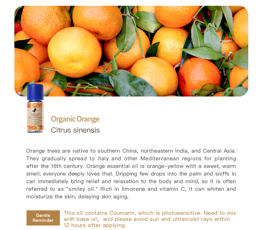 Easearoma Organic Orange Pure Essential Oil 10ml German Aromatherapy