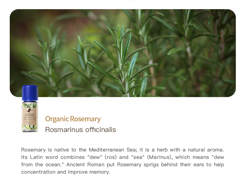 Easearoma Organic Rosemary Pure Essential Oil 10ml German Aromatherapy