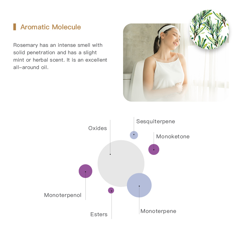 Easearoma Organic Rosemary Pure Essential Oil 10ml German Aromatherapy