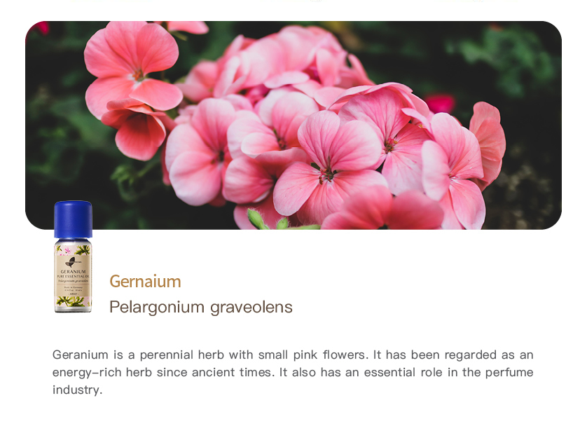 Easearoma Geranium Pure Essential Oil 10ml German Aromatherapy
