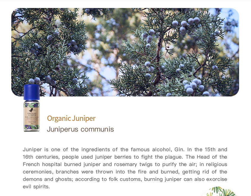 Easearoma Organic Juniper Pure Essential Oil 10ml German Aromatherapy