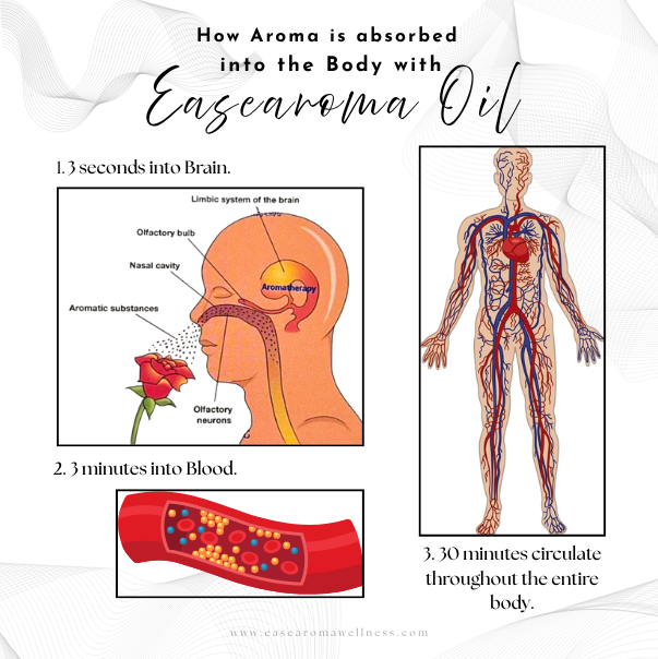Easearoma Digestive System Set Pure Essential Oil
