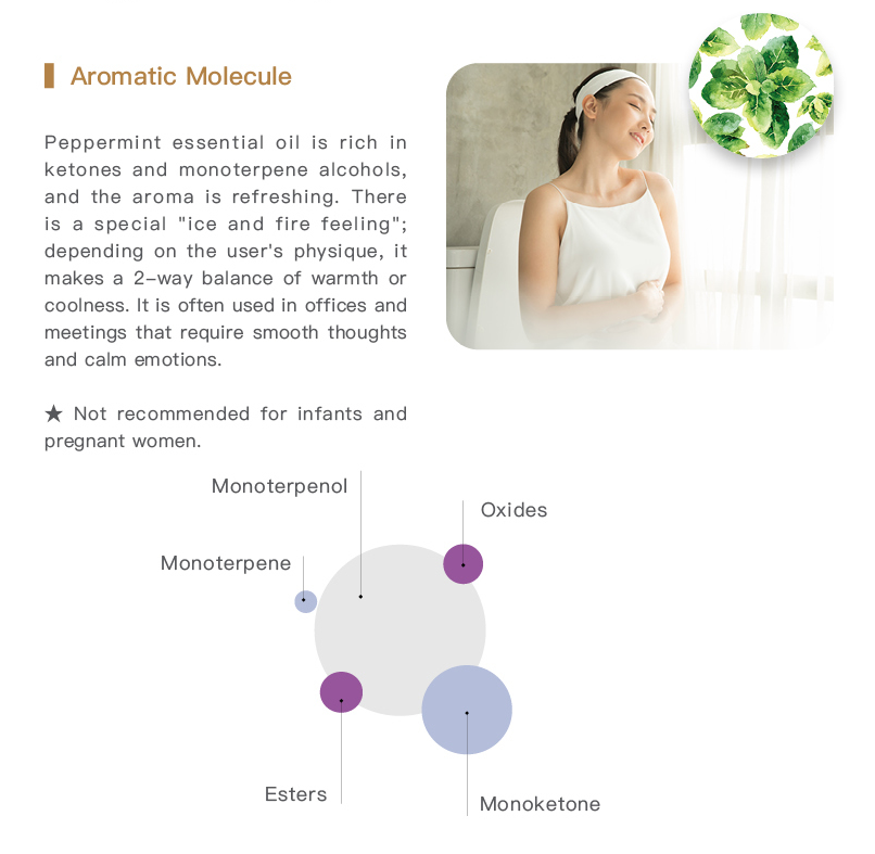 Easearoma Peppermint Pure Essential Oil German Aromatherapy