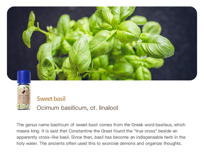 Easearoma Sweet Basil Pure Essential Oil German Aromatherapy