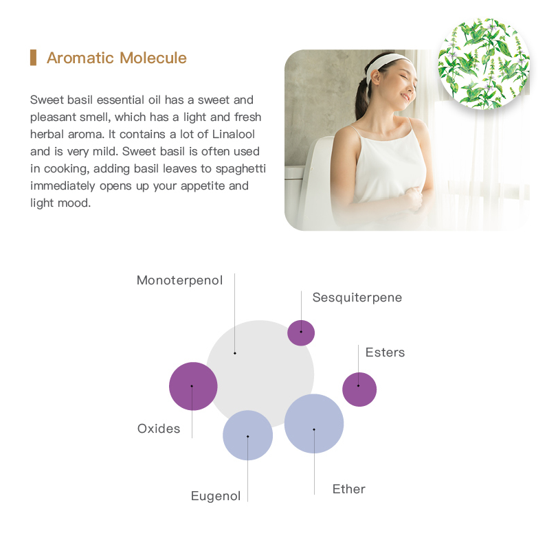 Easearoma Sweet Basil Pure Essential Oil German Aromatherapy