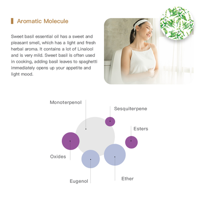 Easearoma Sweet Basil Pure Essential Oil German Aromatherapy