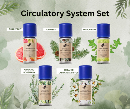 Easearoma Circulatory System Set Pure Essential Oil