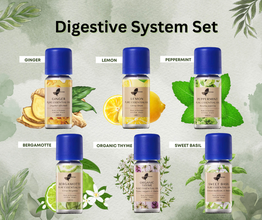 Easearoma Digestive System Set Pure Essential Oil