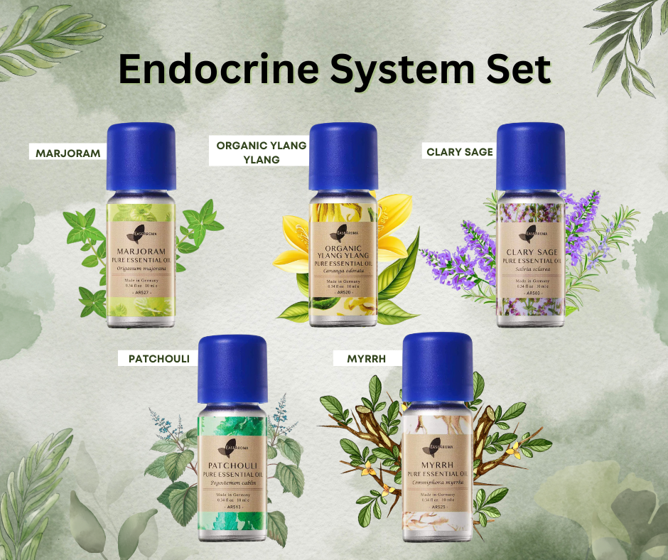 Easearoma Endocrine System Set Pure Essential Oil