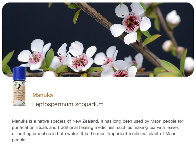Easearoma Manuka Pure Essential Oil 10ml German Aromatherapy