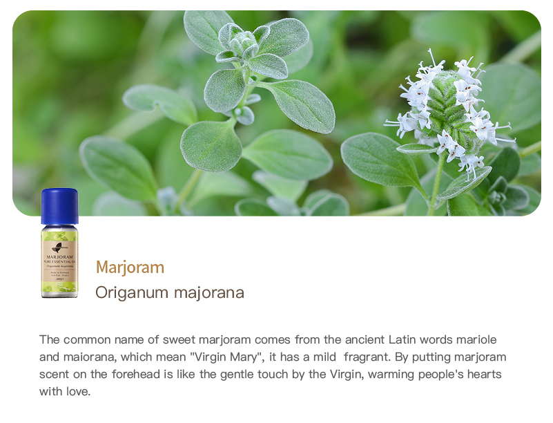 Easearoma Marjoram Pure Essential Oil 10ml German Aromatherapy