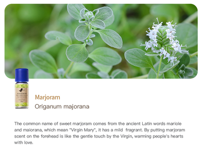 Easearoma Marjoram Pure Essential Oil 10ml German Aromatherapy