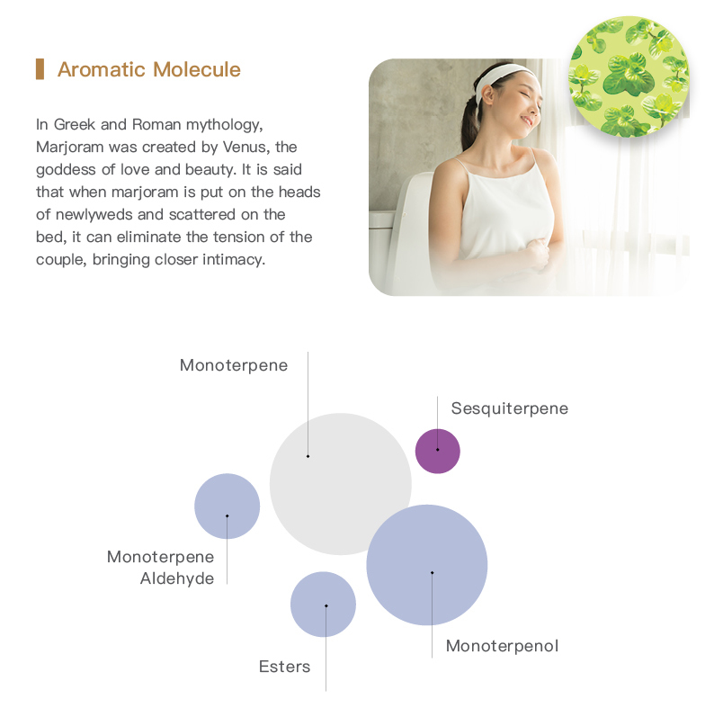 Easearoma Marjoram Pure Essential Oil 10ml German Aromatherapy