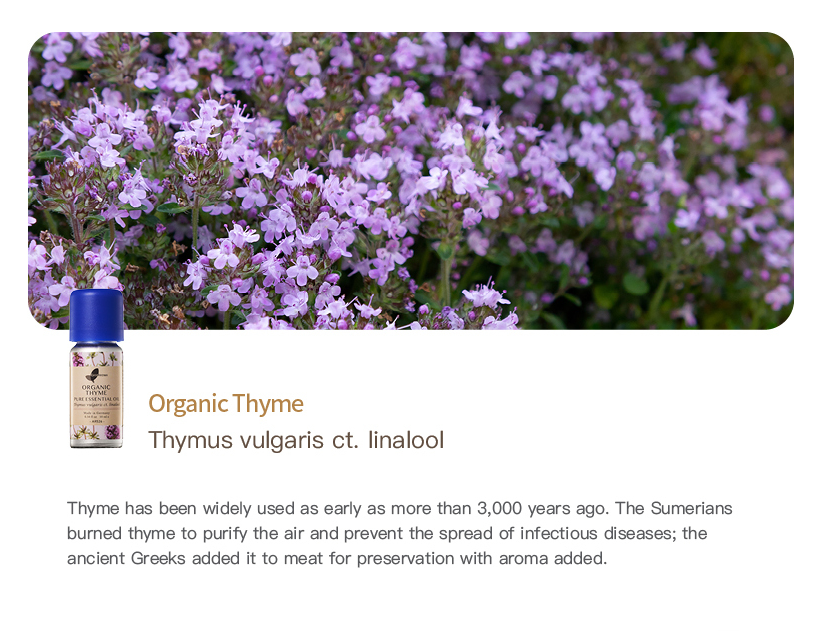 Easearoma Organic Thyme Pure Essential Oil 10ml German Aromatherapy