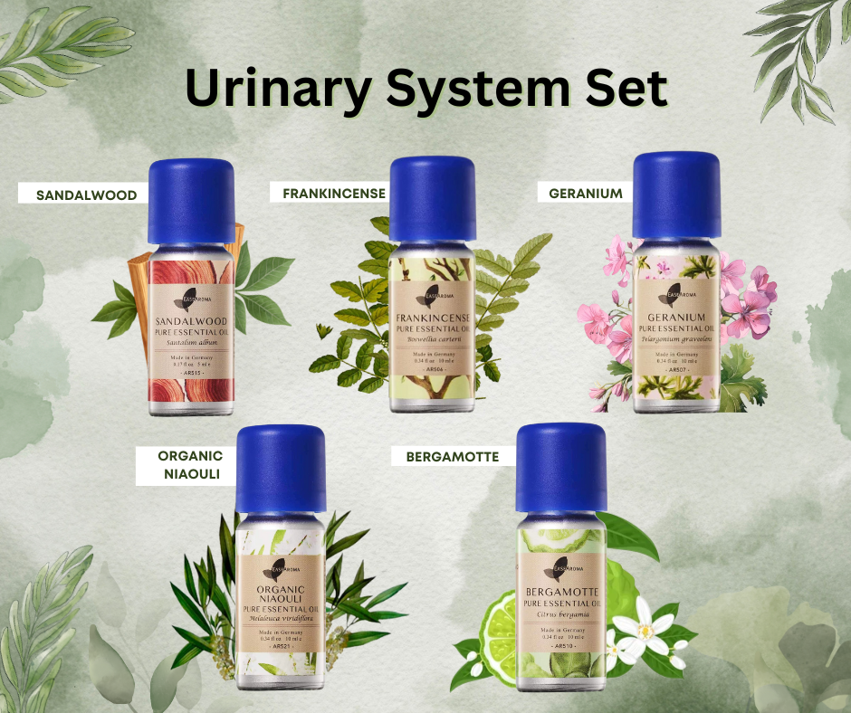 Easearoma Urinary System Set Pure Essential Oil