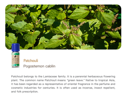 Easearoma Patchouli Pure Essential Oil German Aromatherapy
