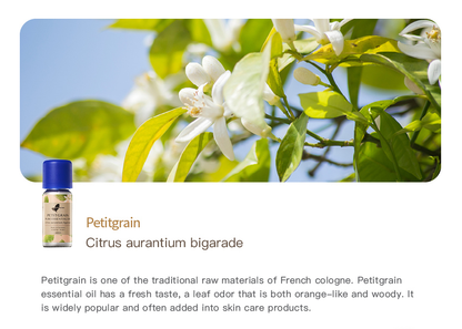 Easearoma Petitgrain Pure Essential Oil German Aromatherapy