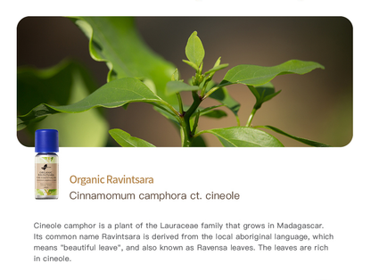 Easearoma Organic Ravintsara Pure Essential Oil 10ml German Aromatherapy