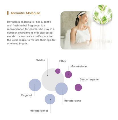 Easearoma Organic Ravintsara Pure Essential Oil 10ml German Aromatherapy