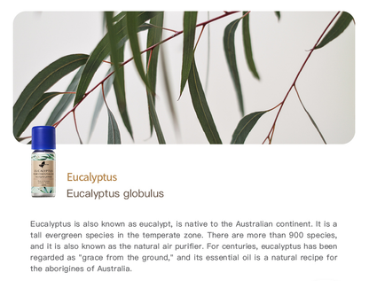 Easearoma Eucalyptus Pure Essential Oil German Aromatherapy