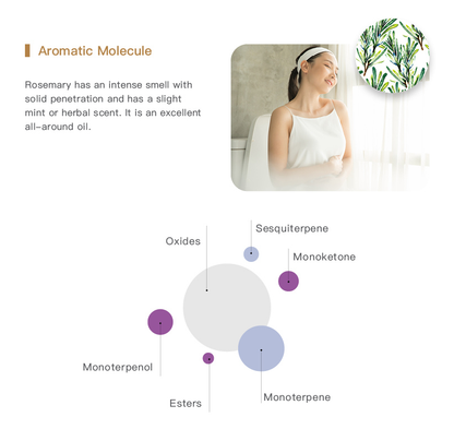 Easearoma Organic Rosemary Pure Essential Oil 10ml German Aromatherapy