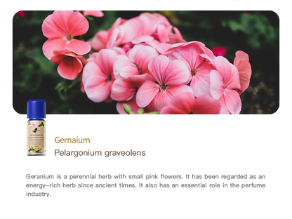 Easearoma Geranium Pure Essential Oil 10ml German Aromatherapy