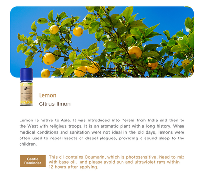 Easearoma Lemon Pure Essential Oil German Aromatherapy