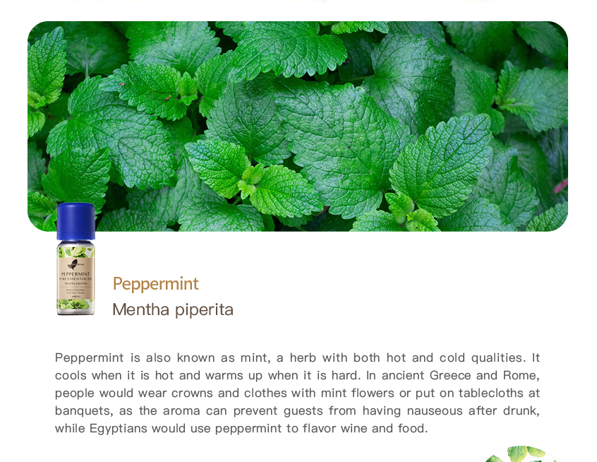 Easearoma Peppermint Pure Essential Oil German Aromatherapy