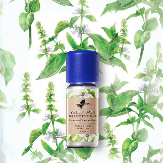 Easearoma Sweet Basil Pure Essential Oil German Aromatherapy